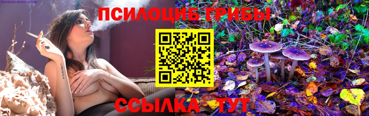 Псилоцибиновые грибы Psilocybe  Вход с VPN  Димитровград 